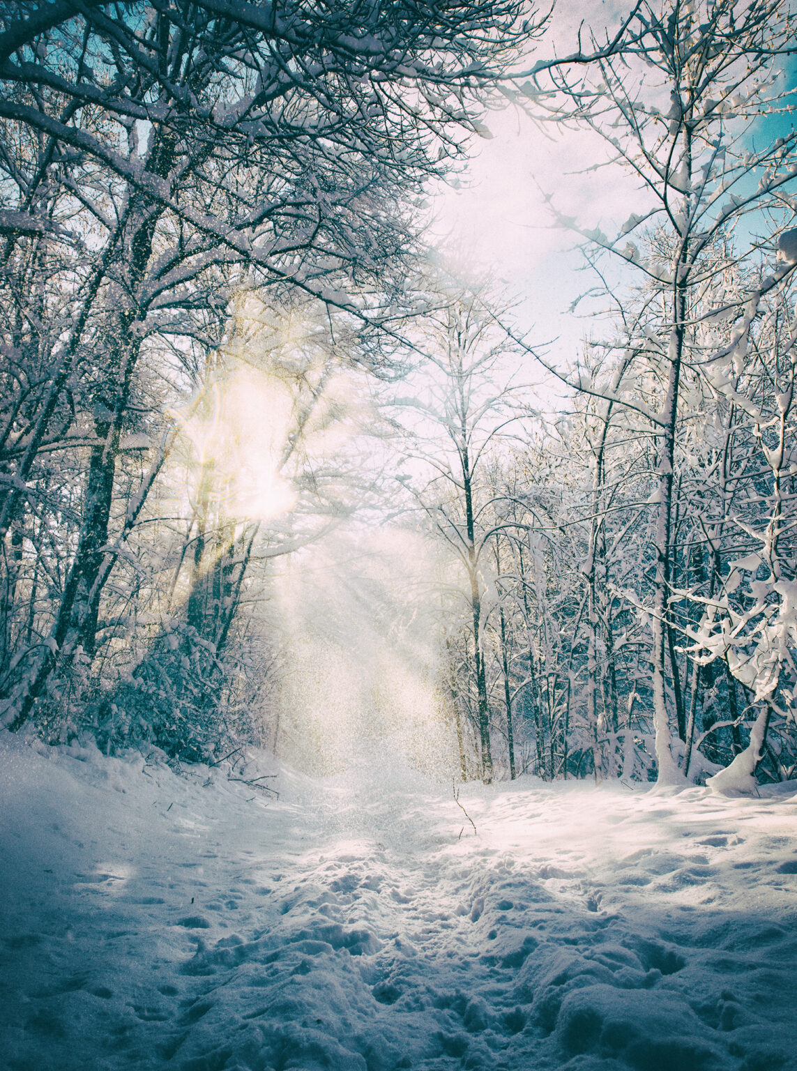 Schneelandschafts mit Sonne
